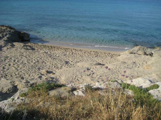 Вилла Attico A 150 Mt Dal Mare Марина-ди-Манкаверса Экстерьер фото